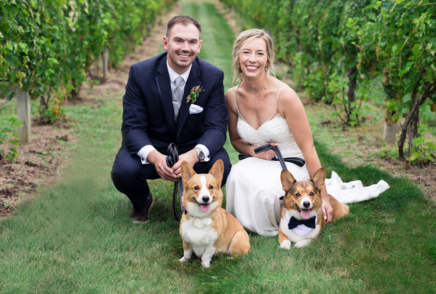 bride and groom in vineyard