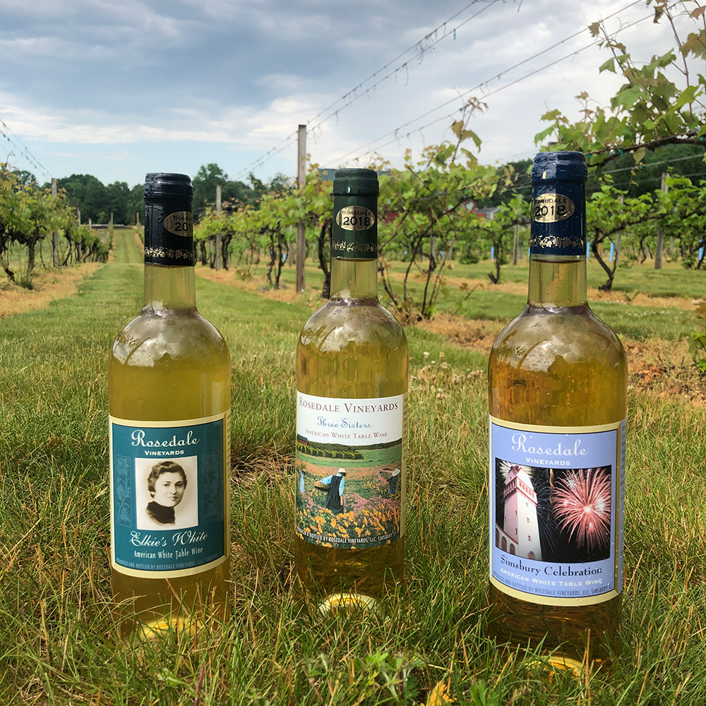 wines in vineyard