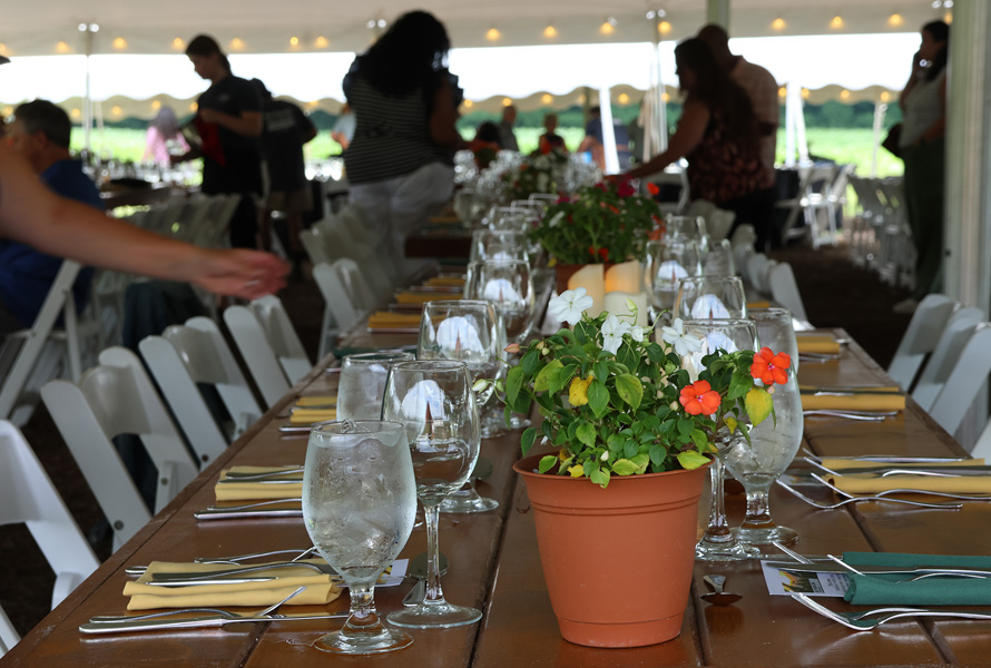 table setting